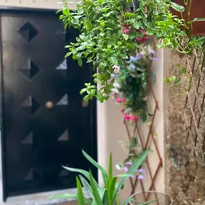 Il Vicoletto Guest house